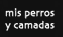 Mis perros y camadas